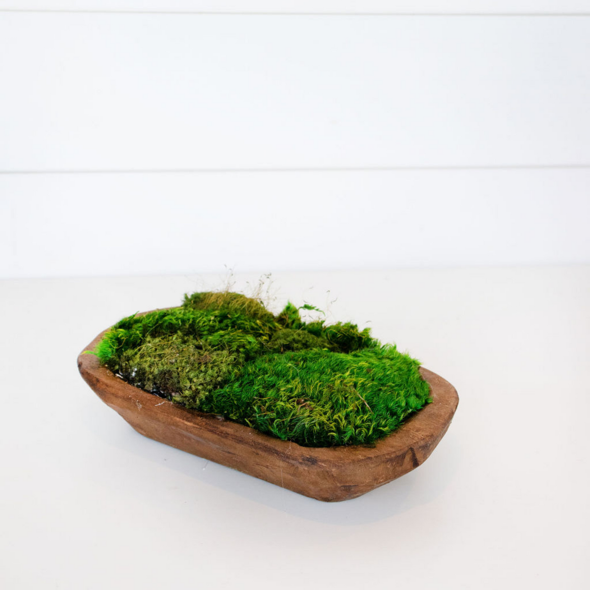 Preserved Moss Centerpiece, Paulownia Wood Moss Bowl, Table Decor, Dough  Bowl Alternative, Footed Bowl 