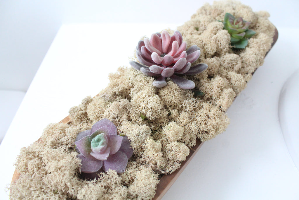 White Moss and Succulent Table Centerpiece – HollyBee and Company