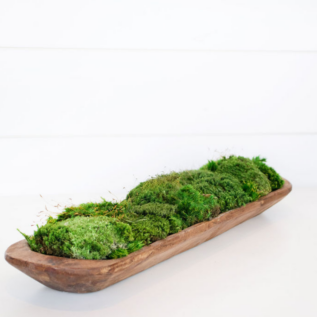 19” Preserved Moss Dough Bowl – HollyBee and Company