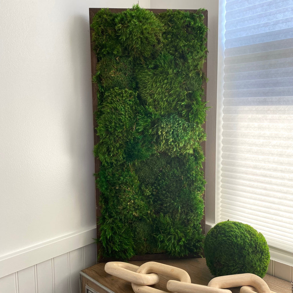 Preserved Moss Wall Art Hanging 29x13 – HollyBee and Company