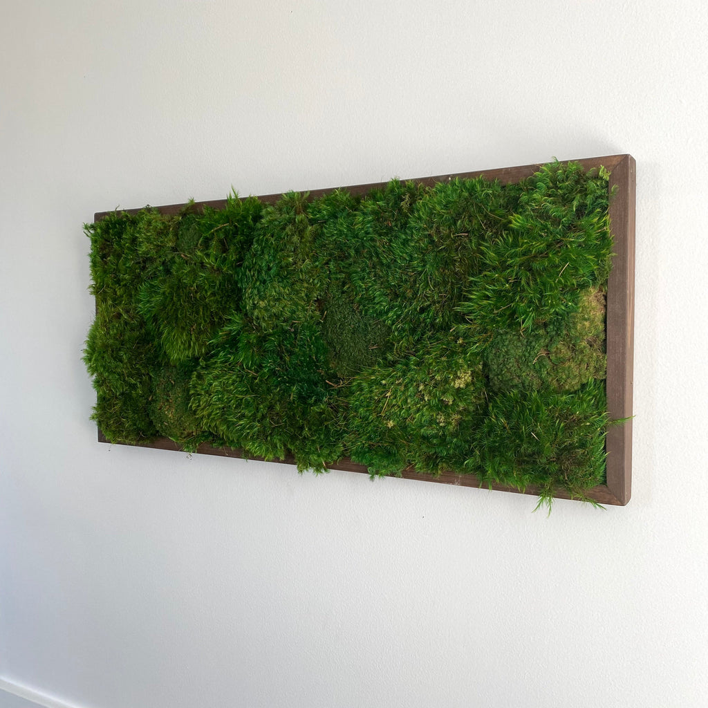 Moss Wall Art Maintenance: Is It Really That Hard